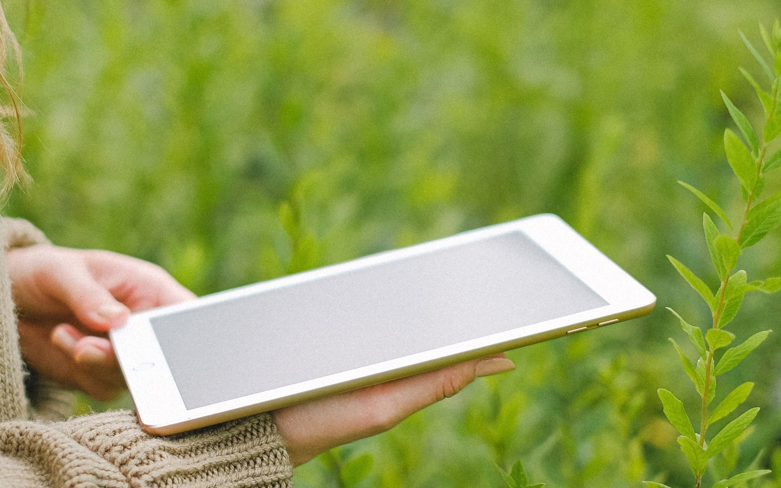 Gardener holding a tablet among leafy green nursery plants