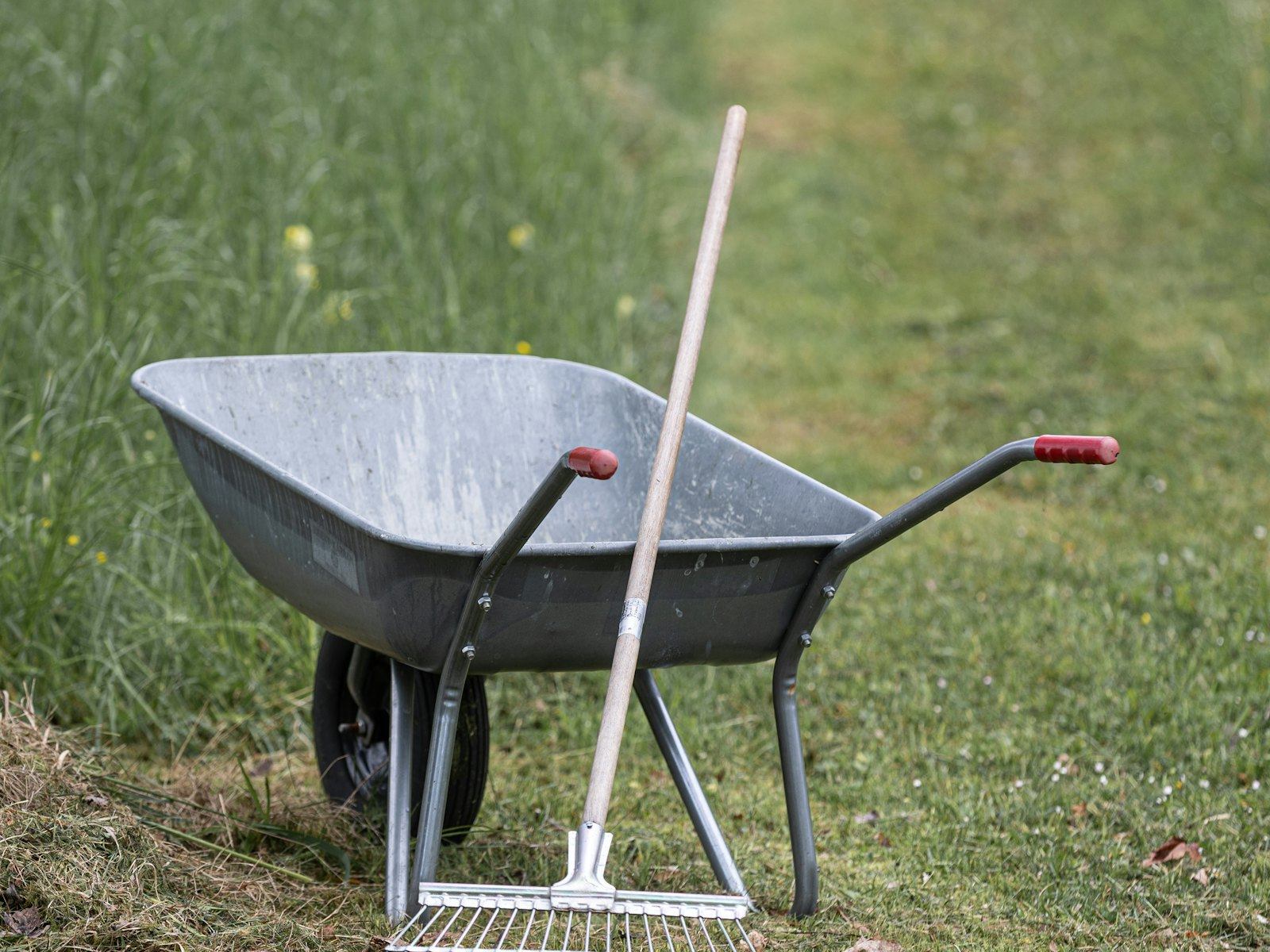 Metal wheelbarrow and garden rake standing on a mown grass path