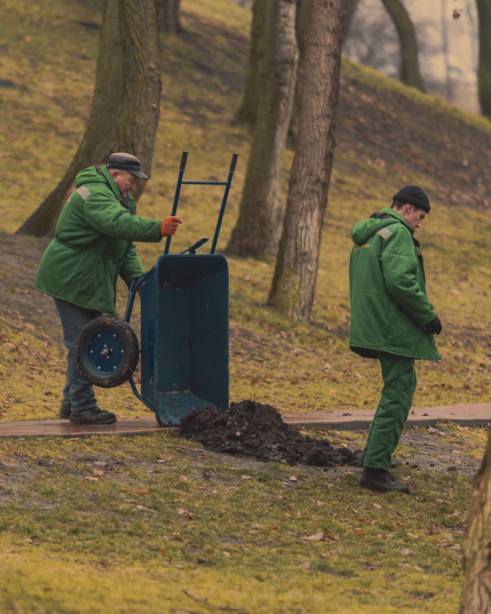 Landscaping crew member in green work clothes pushing a wheelbarrow across a garden lawn