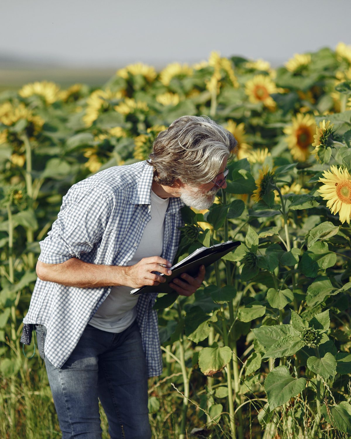 Business owner in a checked shirt writing notes on a clipboard among green plants